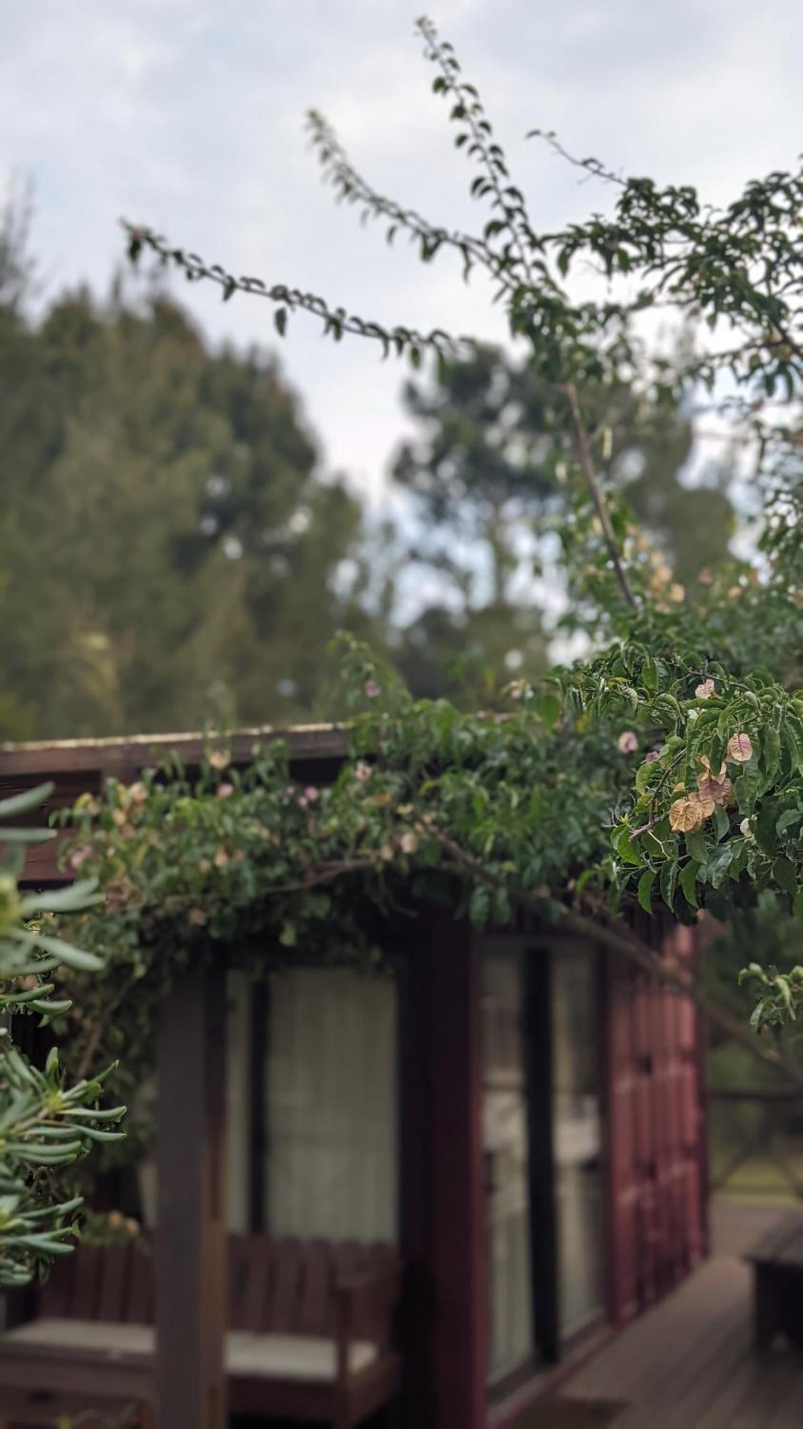 Resort 77 Piriápolis Εξωτερικό φωτογραφία